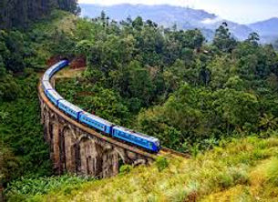 TRAIN 1.jpg