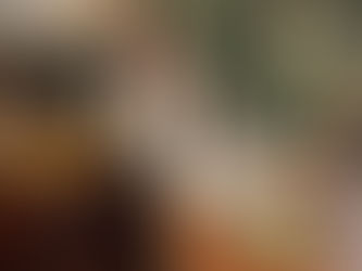 FEBRUARY MEETING - The Harrow Oad Street