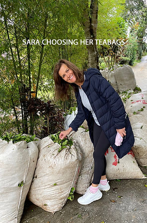 SARA TEA.jpg