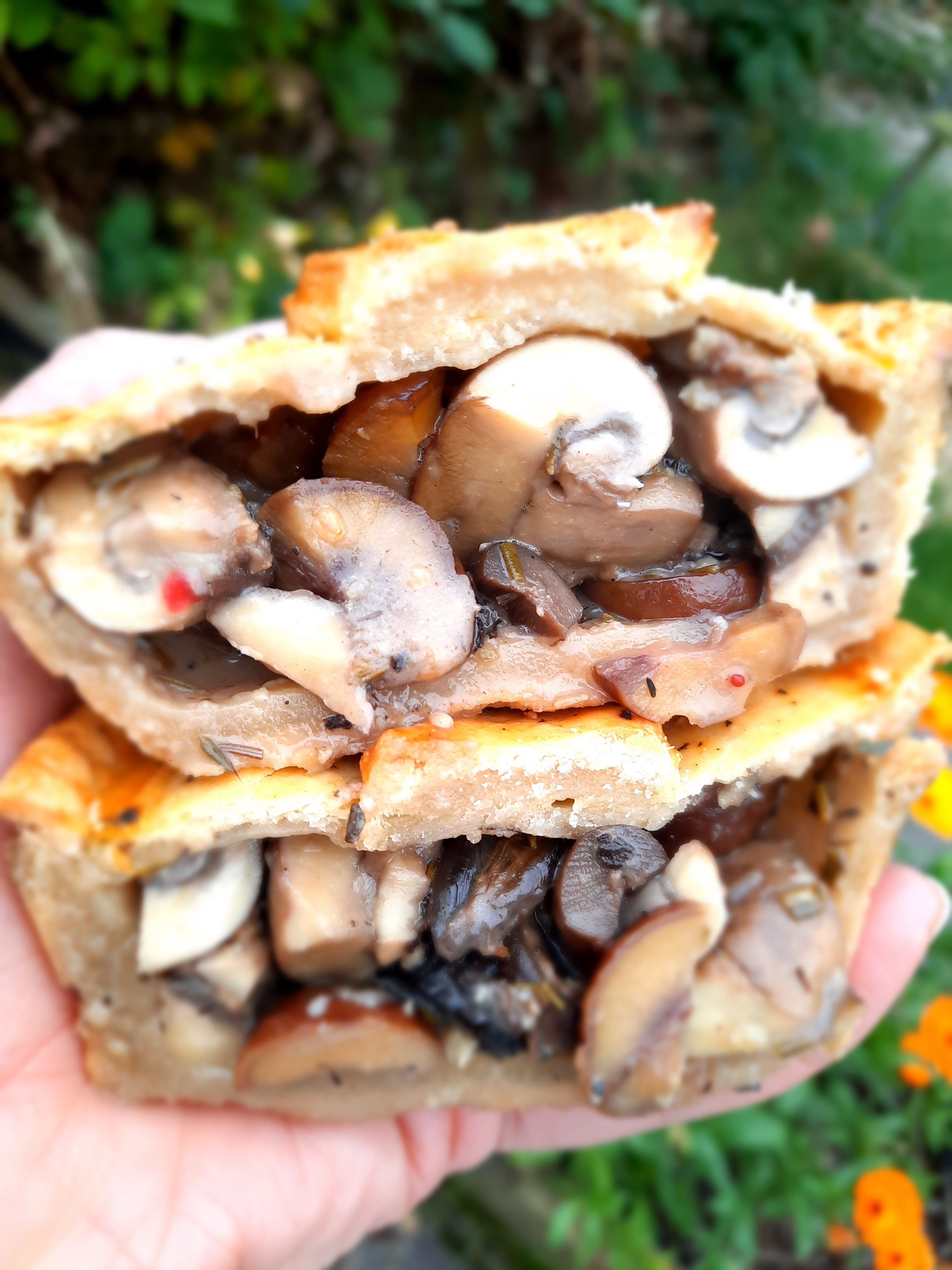 Roasted Mushroom, Chestnuts and sweet Cranberries (V or VE))