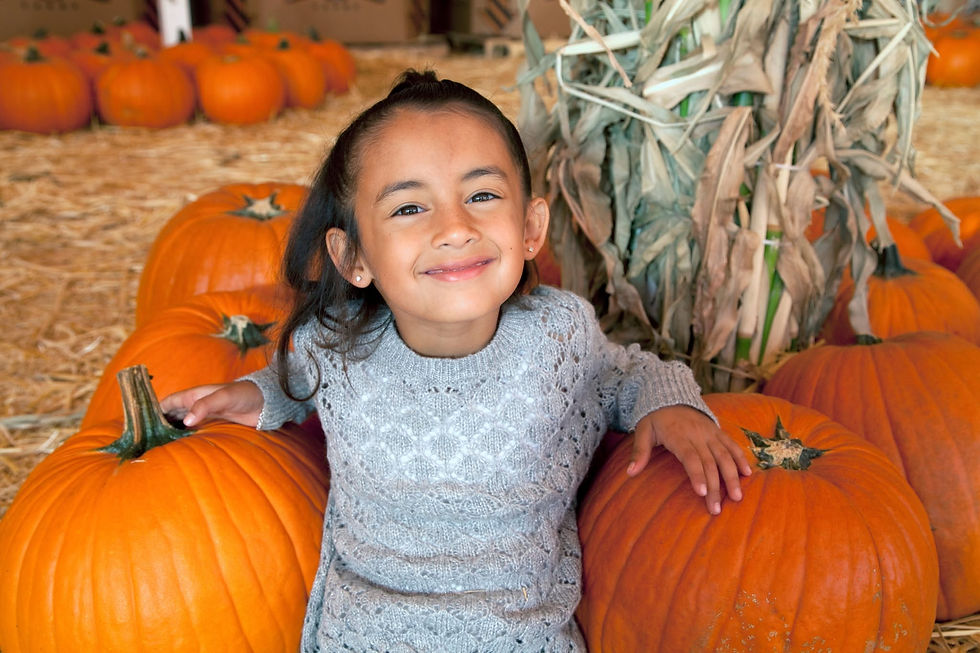 The Fall Pumpkin Patch at Green Meadows Petting Farm