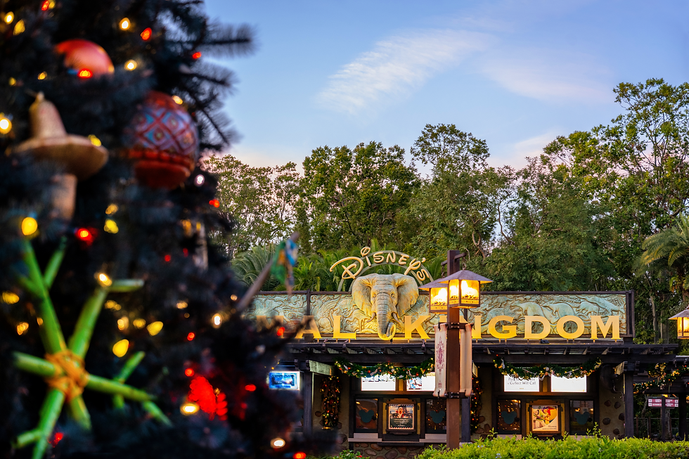 Discover Wild Seasonal Fun at Disney’s Animal Kingdom