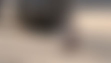 BDX Droids coming to Star Wars: Galaxy’s Edge at Walt Disney World later this year