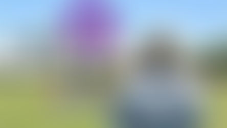 Celebrate the magic of flight at the Orlando Kite Festival taking flight at OCPS Academic Center for Excellence