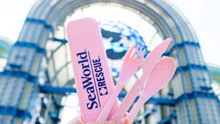 SeaWorld Orlando celebrates World Oceans Day this weekend with a Free Gift for Park Guests!