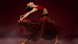 Fierce. Sexy. Cinematic,  Orlando Ballet presents Carmen at Steinmetz Hall, February 12 - 15