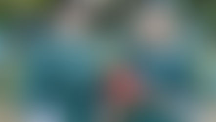 Today Is The Last Day To Get Your Hands On A Mr Toad Popcorn Bucket!