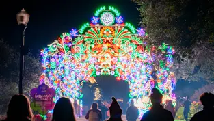 Free & Cheap Things To Do in Orlando this Weekend, December 26 - 28, 2025