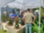 Leu Garden’s Annual Plant Sale is back, mark your calendars and get ready to get your green on