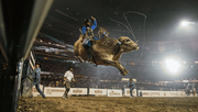 Saddle up, Tampa! The Hondo Rodeo Fest rolls into Raymond James Stadium Feb. 26 - 28, 2027