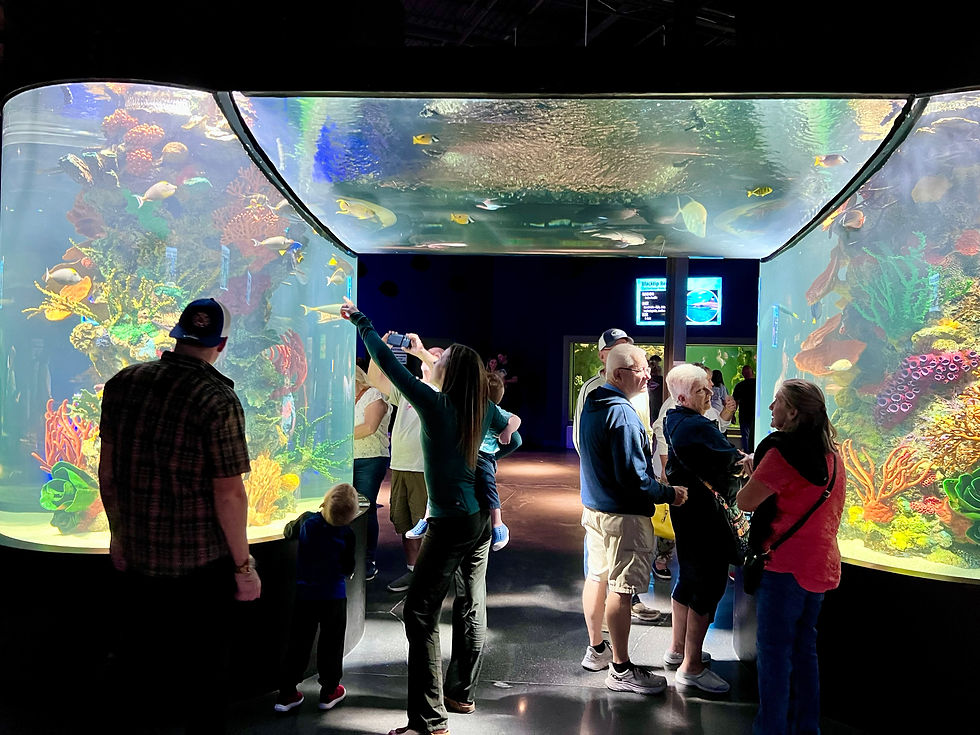 The Daytona Aquarium & Rainforest Adventure