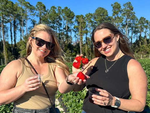 Enjoy the sweetest celebration at Amber Brooke Farms Strawberry Festival!