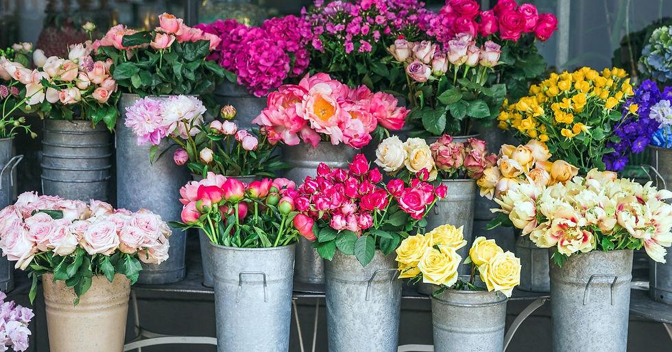Enjoy a blooming day of floral beauty and festivities at Hamlin Petalpalooza!