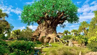 Unique Characters coming to Disney’s Animal Kingdom for Earth Week and the parks 25th Anniversary!