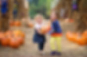 Orlando Pumpkin Patches and Fall Festivals 2026