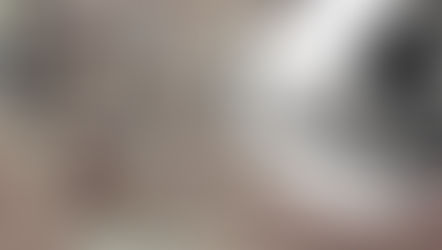 Disney shares 7 Rare Vintage Images to celebrate Walt Disney World's Groundbreaking