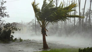 The National Hurricane Center predicts above-average 2025 Atlantic hurricane season