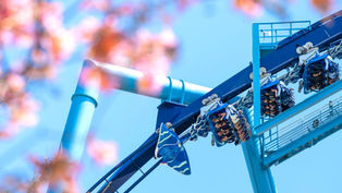Celebrate Memorial Day at SeaWorld Orlando with Discounts Galore and Free Admission for Veterans & Active Military