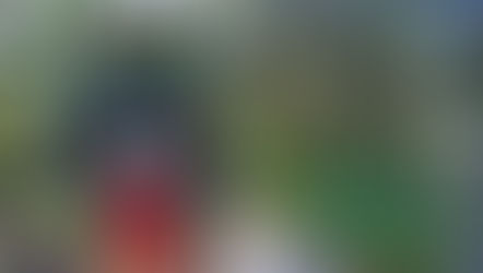 Holidays at Bok Tower Gardens features Special Activities and Events for all ages