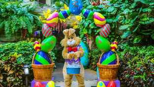 Once Upon A Spring now blooming at the Gaylord Palms Resort Orlando