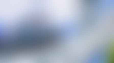 SeaWorld Orlando launches its Biggest Sale of the Year with Holiday Cheer and Black Friday Deals