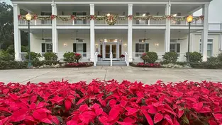 The Holidays at Leu Gardens are in full bloom throughout the holiday season in Orlando