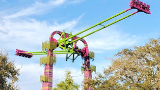 Who's ready to fly? Serengeti Flyer is officially open at Busch Gardens Tampa Bay!