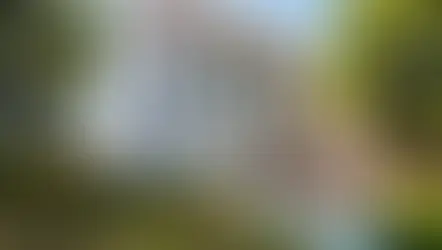 Join Orlando's most influential political and judicial leaders for a panel discussion on Scalia/Ginsburg: Harmony in Discourse