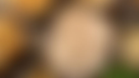 Gobble! Gobble! Kissimmee's Cowboy Chicken talks turkey this Holiday Season