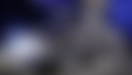 Free Entry Days roll into the Orlando Auto Museum at Dezerland Action Park