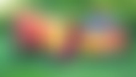 Hot Diggity Dog! The Oscar Mayer Wienermobile is coming to Orlando and you could be driving it!