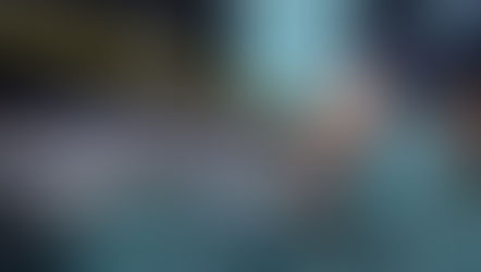 Discovery Cove welcomes a new dolphin calf to the pod, and wants you to help name the new baby girl!