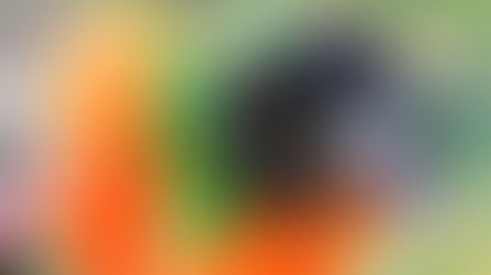 Get ready for a tail-wagging good time at Dogtoberfest in Longwood!