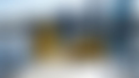 Orlando celebrates 100 years of Lake Eola's iconic swan boats with a Golden Swan