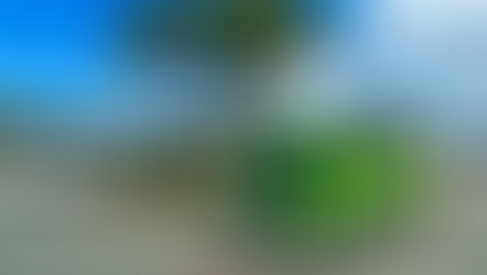 Parking Lot Trams have returned to Disney’s Hollywood Studios after a three and a half year wait!