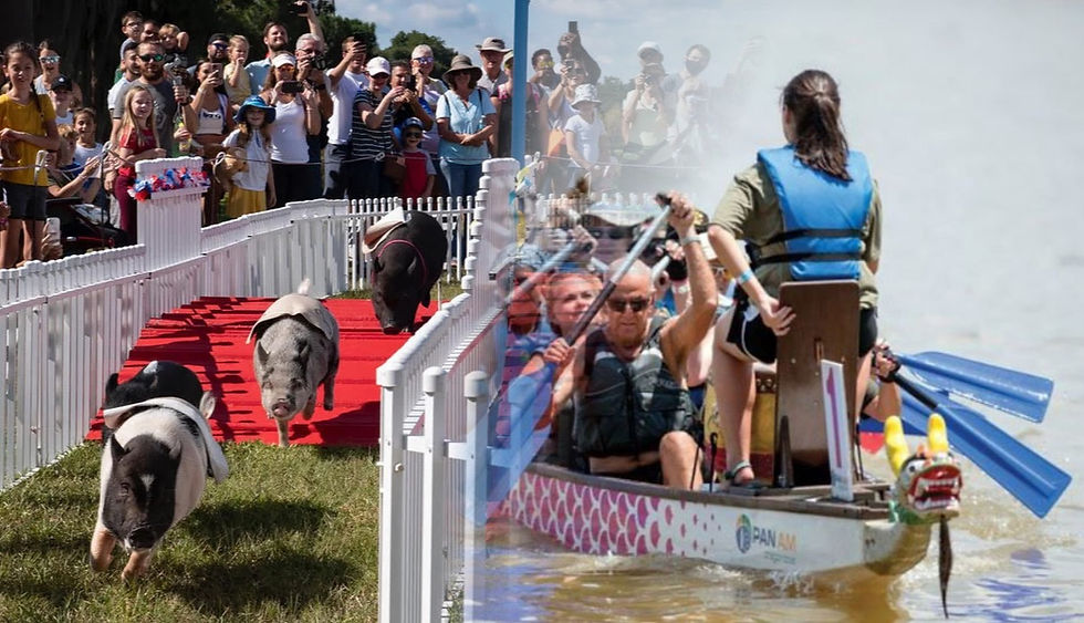 Free Things To To In Orlando this Weekend