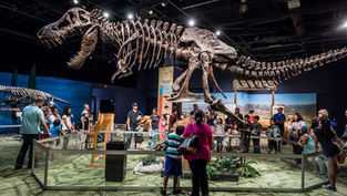 Enjoy science learning, discovery and family fun at Orlando Science Center this weekend for only $12