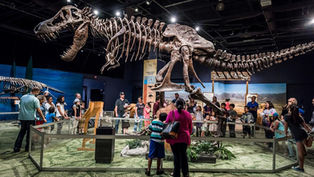 Enjoy science learning, discovery and family fun at Orlando Science Center this weekend for only $12