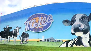 T.G. Lee Dairy is celebrating 100 Years and is hosting a Community Milk Run and After Party!