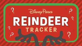 Disney Reindeer on the loose - Walt Disney World tease this weeks Halfway To The Holidays!