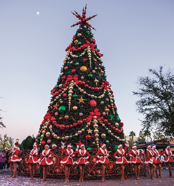 The Holiday Tree Hunt sponsored by Earl the Squirrel Tree Farm Universal Orlando