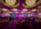 Pet Alliance’s 34th Annual Furball Gala brings the “Golden Age of Vinyl” to Orlando on October 24, 2026