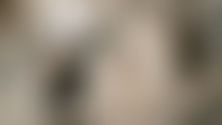 Orlando - You're Invited to a Free Advance Movie Screenings of Now You See Me: Now You Don't