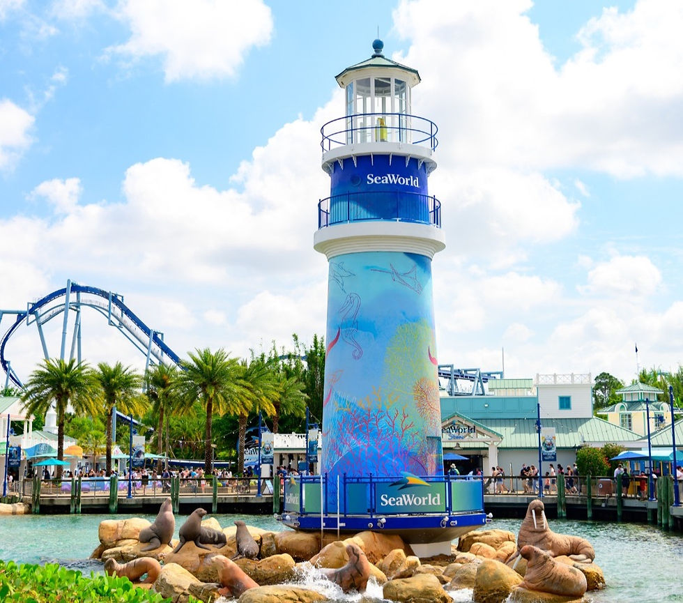 SeaWorld Q3 2022 Post Record Earning Of $565.2 Million Plus Record Revenue Per Guest