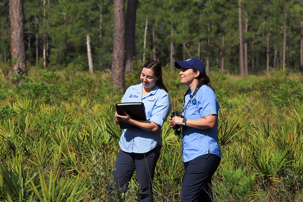 Disney Conservation Fund awards $1 Million to Florida Wildlife Corridor Foundation