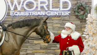 Shop, Jingle and Mingle at the Ocala Christmas in July Arts & Craft Show at the World Equestrian Center