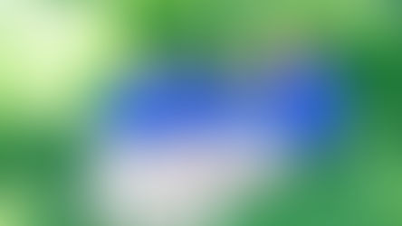 Peach Pit is heading out on a Fall Quest this September including a show at House of Blues Orlando