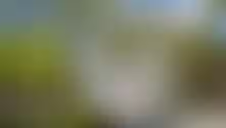 Orange County Regional History Center hosting Watch Party for New Orlando Episode of Florida Road Trip