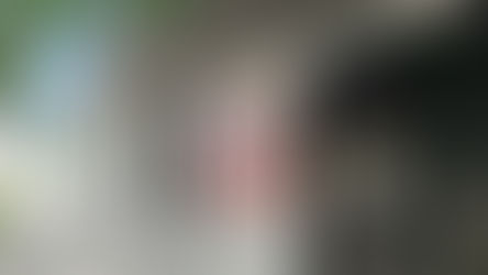 Join Ten 10 Brewing Company for a Can Release Celebration and Second Harvest Food Bank Food Drive Kickoff!