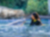 Discovery Cove are offering limited-time savings of up to 40% off all inclusive day passes!